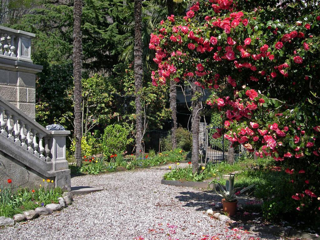 Bed And Breakfast Casa Locarno Exterior foto